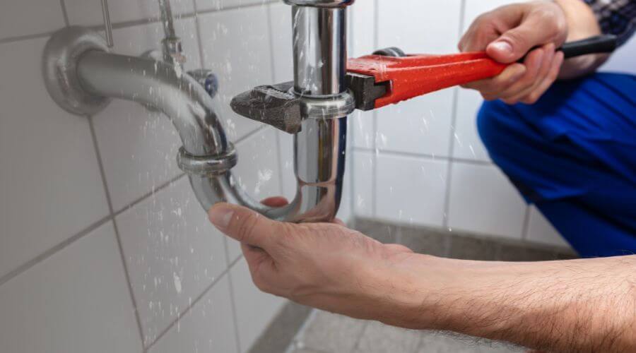 Leak Detection Services in Forestville, PA